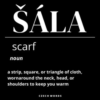 It’s starting to get really cold here in Czechia ❄️🇨🇿
And when winter arrives, nothing keeps you warm like a cozy ŠÁLA. 🧣
Soft, snug, and always ready to protect you from the chilly Czech winds.
#šála #czechword #learnczech #erasmusczechrepublic #internationalstudents #czechlanguage
