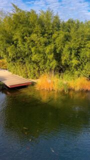 POV: Spring just arrived in Prague… and decided to enroll at @vse. 🌸🌷☀️

Thanks to @awsselfayez for capturing this beautiful video.

#vseinternationalstudents #studyinprague #spring