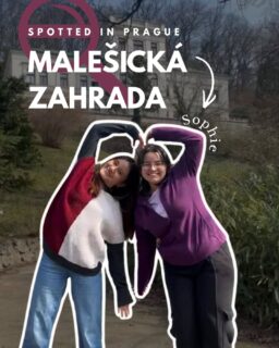 Our girls just wanted to have fun🥳🌻☘️

We are back at it again— “SPOTTED IN PRAGUE” 👀📍

This week, our ambassador Sophie and her friend took us to the Malešice Botanical Garden⚘️🌻 Take a break from studying and visit this lovely place located super close to the dorms🌲🌻

@sophie.wildlife

Each week we will show you some cool places around Prague that you can visit whether you want to hang out with your friends, spend some time by yourself, or just take a break from studying for exams 📚☕🌿

Let us know in the comments what your favorite places in Prague are! 🫶

#vse #trending #explore #nature #prague