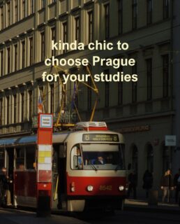 Kinda chic, kinda Czech. 🇨🇿
#kindachic #trend #czechrepublic #prague #studyinprague