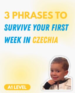 The only 3 Czech phrases you really need on day one (and day seven, and day one hundred)!😎
#czechlanguage #learnczech #czechword #czechphrases #cestina