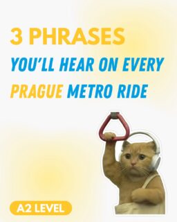 POV: You’ve been taking the Prague metro for a month and still have no idea what the speakers are saying.👀 Time to fix that!🇨🇿
#czechlanguage #learnczech #czechphrases #erasmuslife #prague