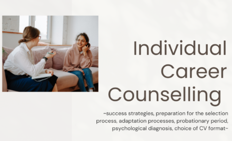 Individual Career Counselling